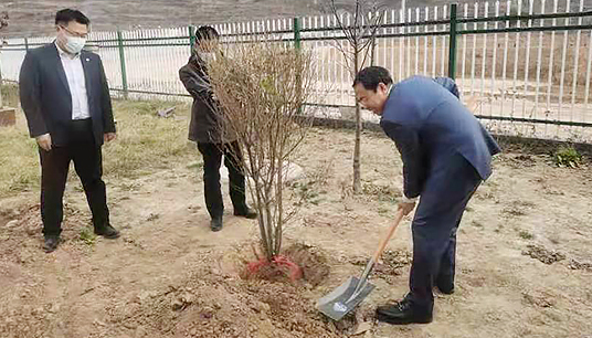 Tree Planting